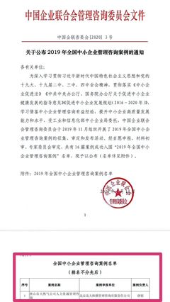 全国中小企业管理咨询案例第一名解析 卓越管理与创新实践